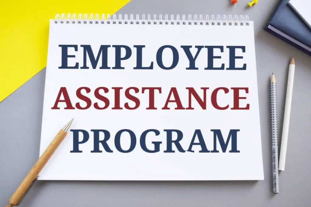 program for professional assistance of employees