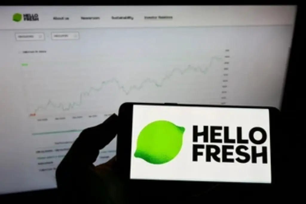 holding mobile phone with logo of meal-kit company HelloFresh